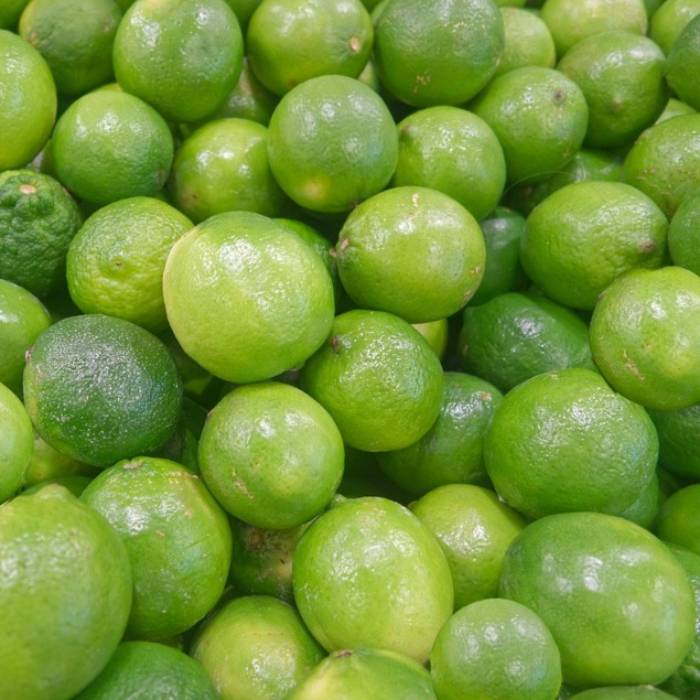 Jeruk Nipis Jeruk Limau Asam Limau Segar | Sayuran ID Padang