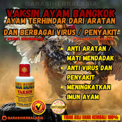 GHA | Obat Ayam Bangkok / Vaksin Ayam Mencegah Penyakit Menular Apapun Dan Juga Aratan VERSI ASLI