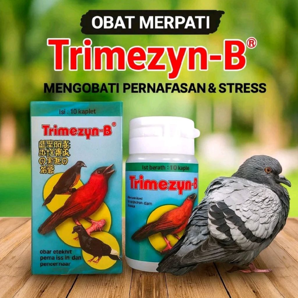 OBAT BURUNG MERPATI & AYAM TRIMIZYN MENGOBATI PERNAFASAN DAN PENCERNAAN