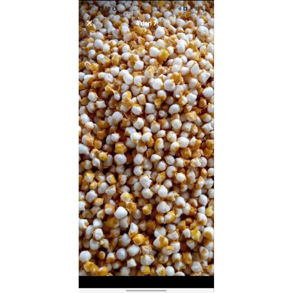 somai mini/somai kering toping seblak dll