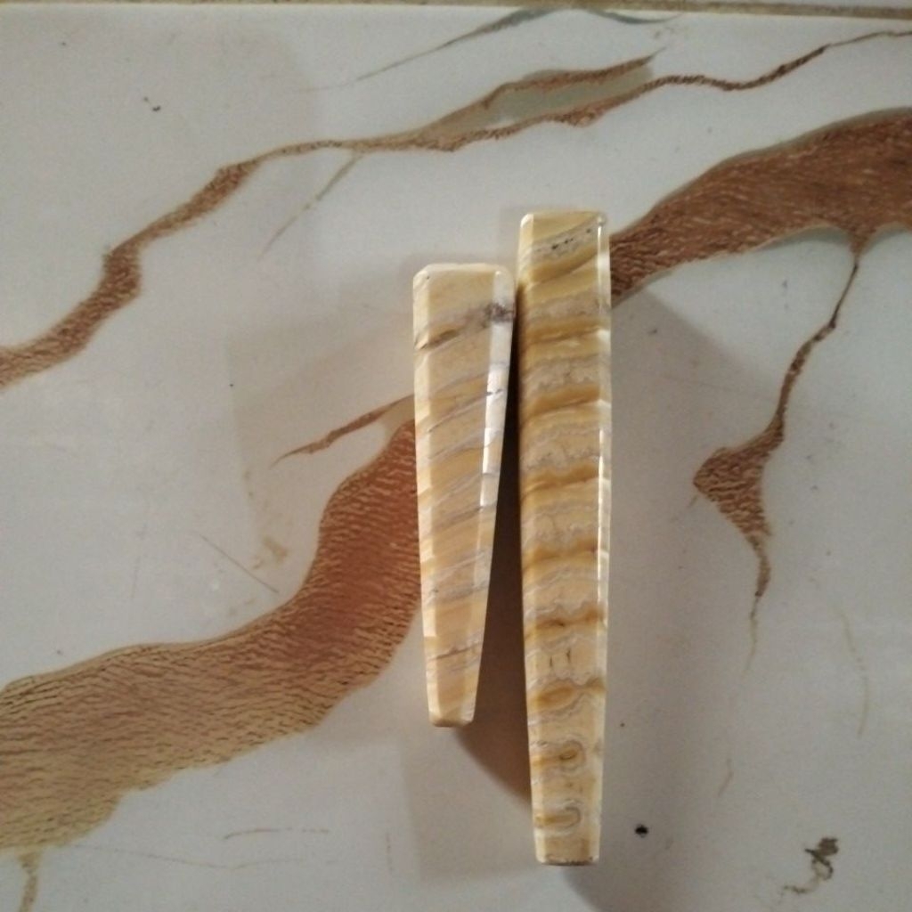 once gigi geraham gajah