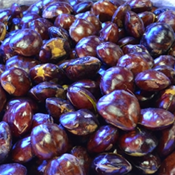 Jengkol Jariang Kupas Tua Segar 10 Butir | Sayuran ID Padang