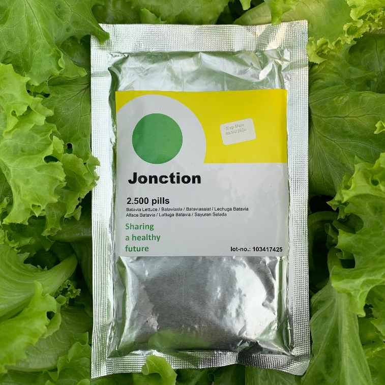 RZ Junction Benih Selada  / Benih Selada RZ Junction 2.500 pils