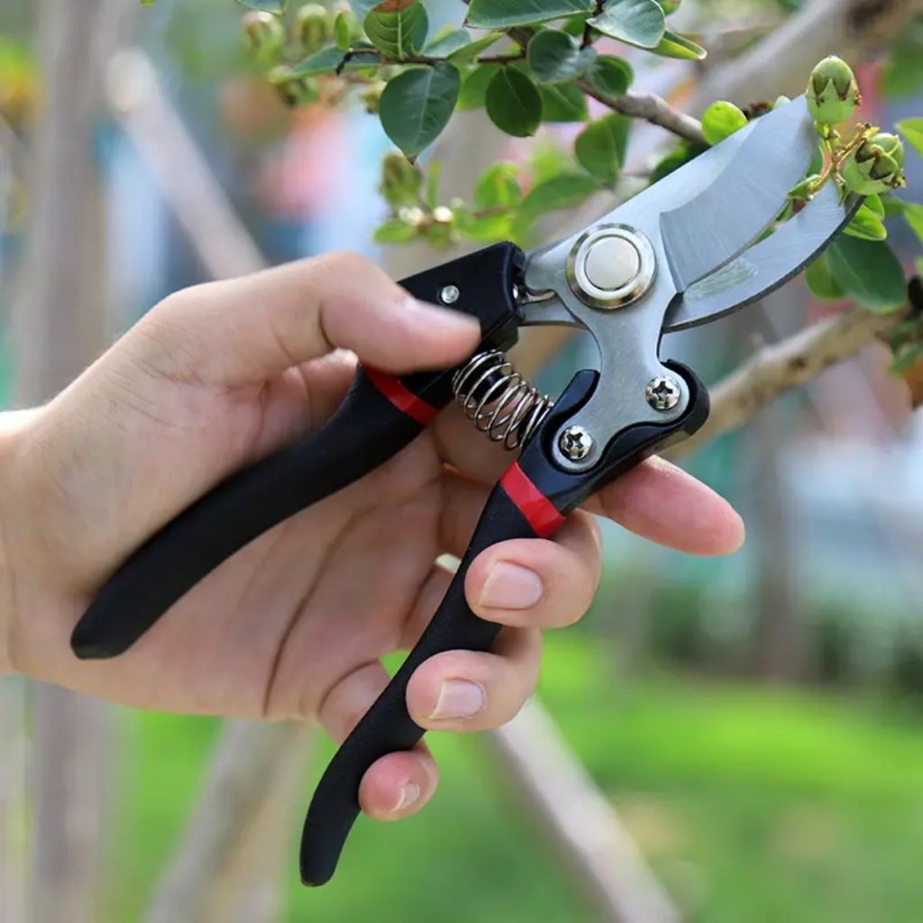 Gunting Dahan Ranting Baja Karbon Gardens Pruning Shears Gunting Tanaman Pohon