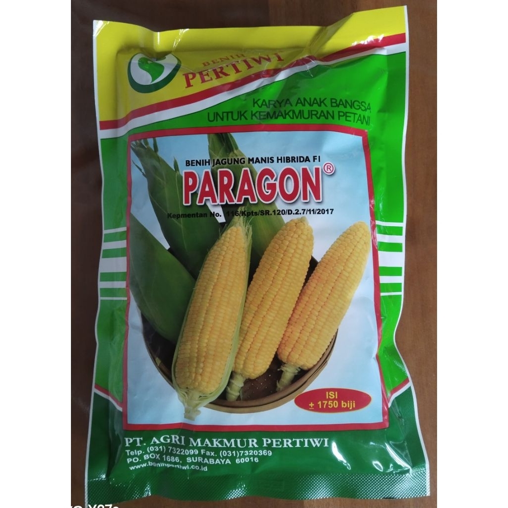 Benih jagung manis hibrida F1 Paragon, jagung manis Pertiwi paragon