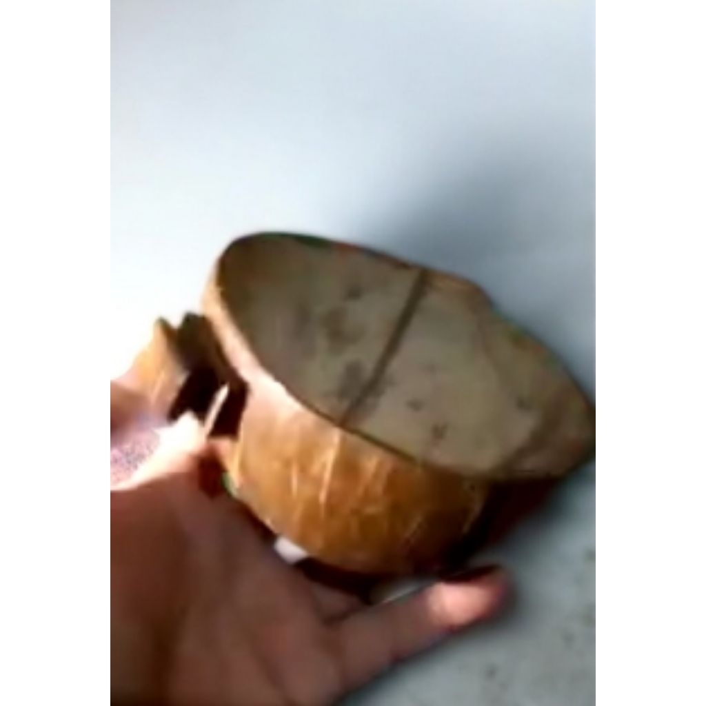 cepuk batok kelapa tempat minum burung
