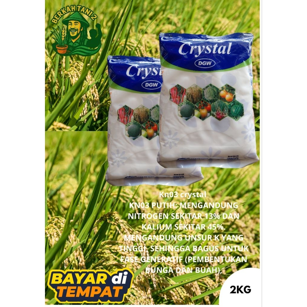 PUPUK Kno3 crystal putih 2KG