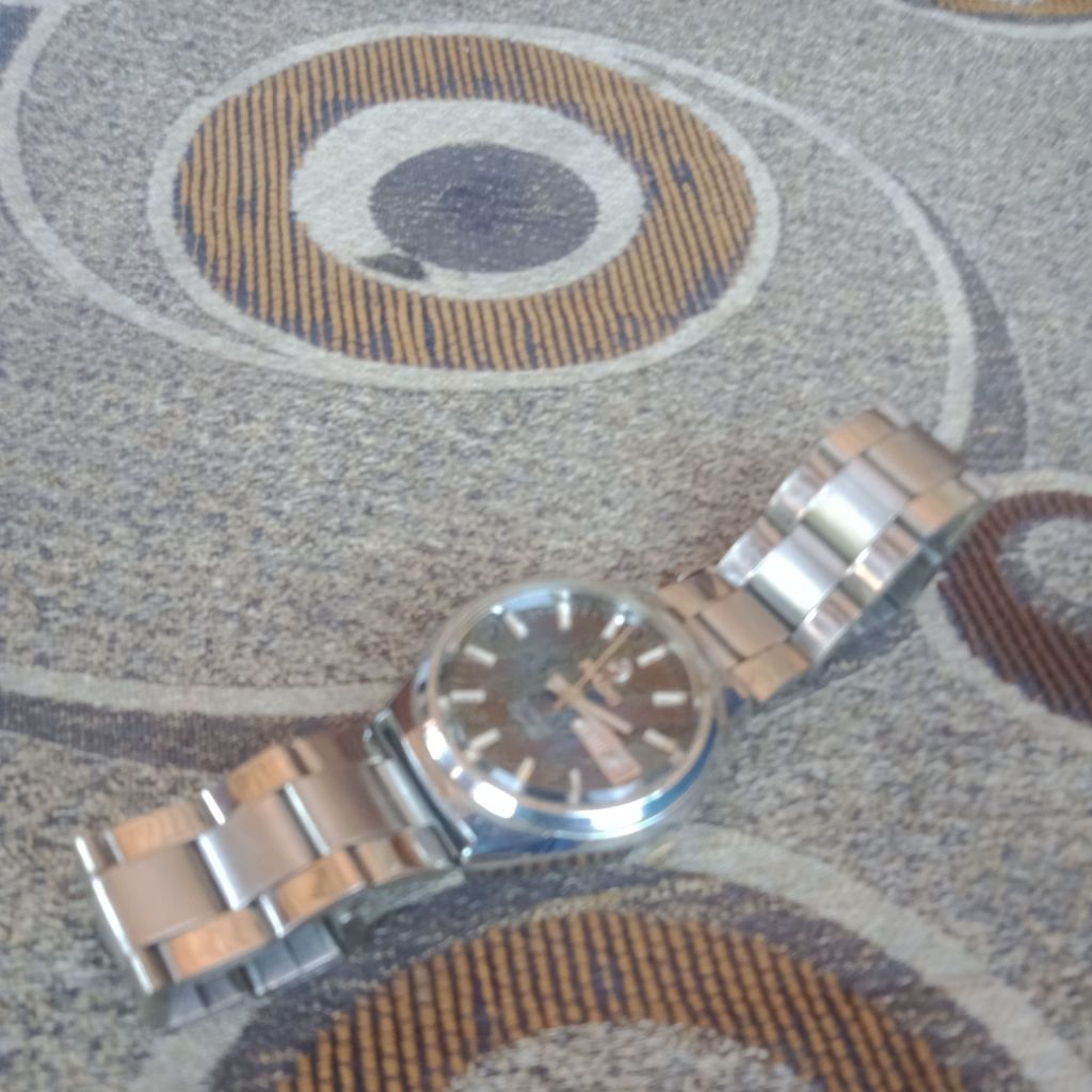 JAM TANGAN RADO 21JEWELS