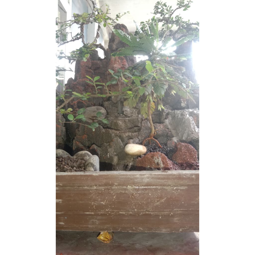 miniatur air terjun/Bonsai panorama