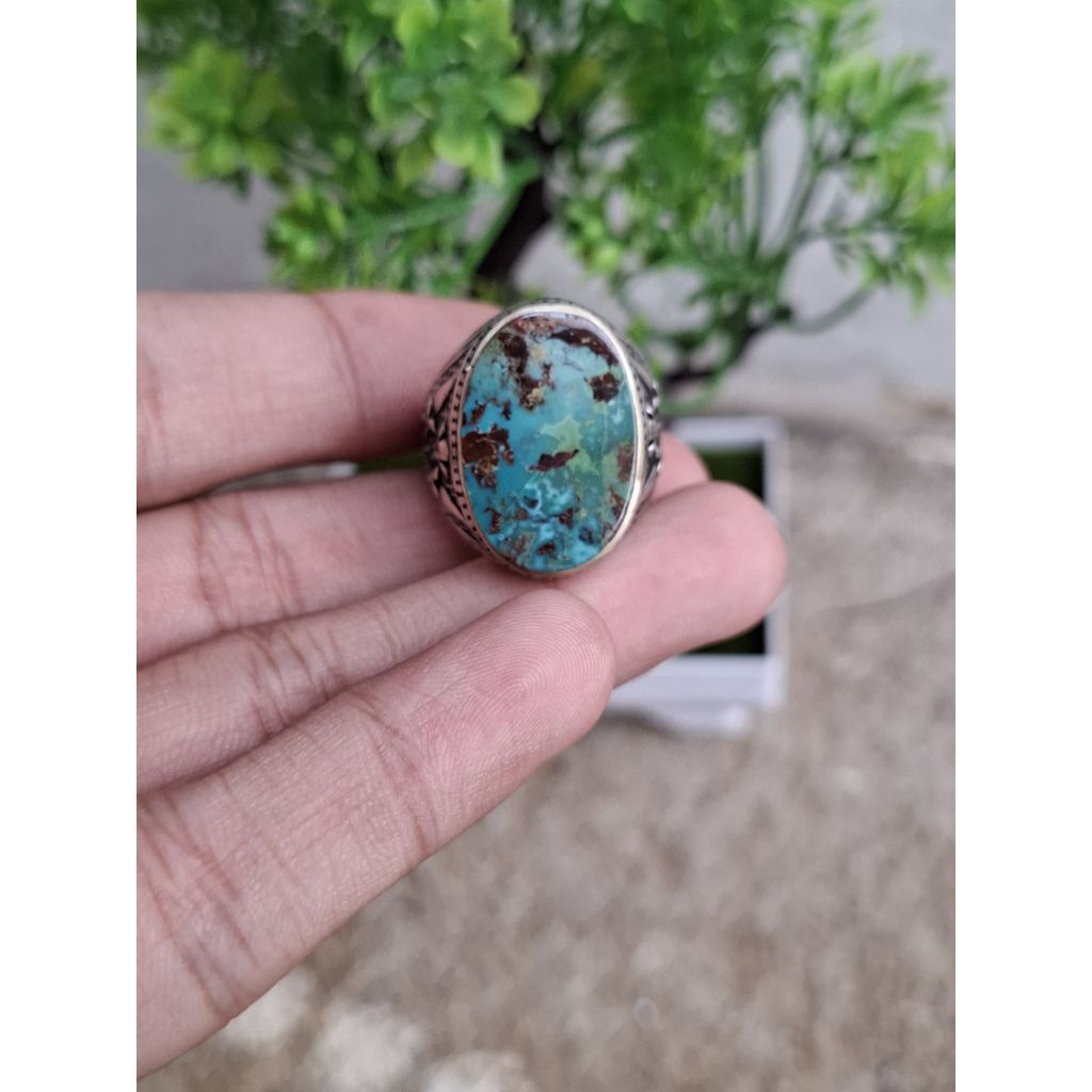 PIRUS PERSIA WARNA BIRU GRADASI