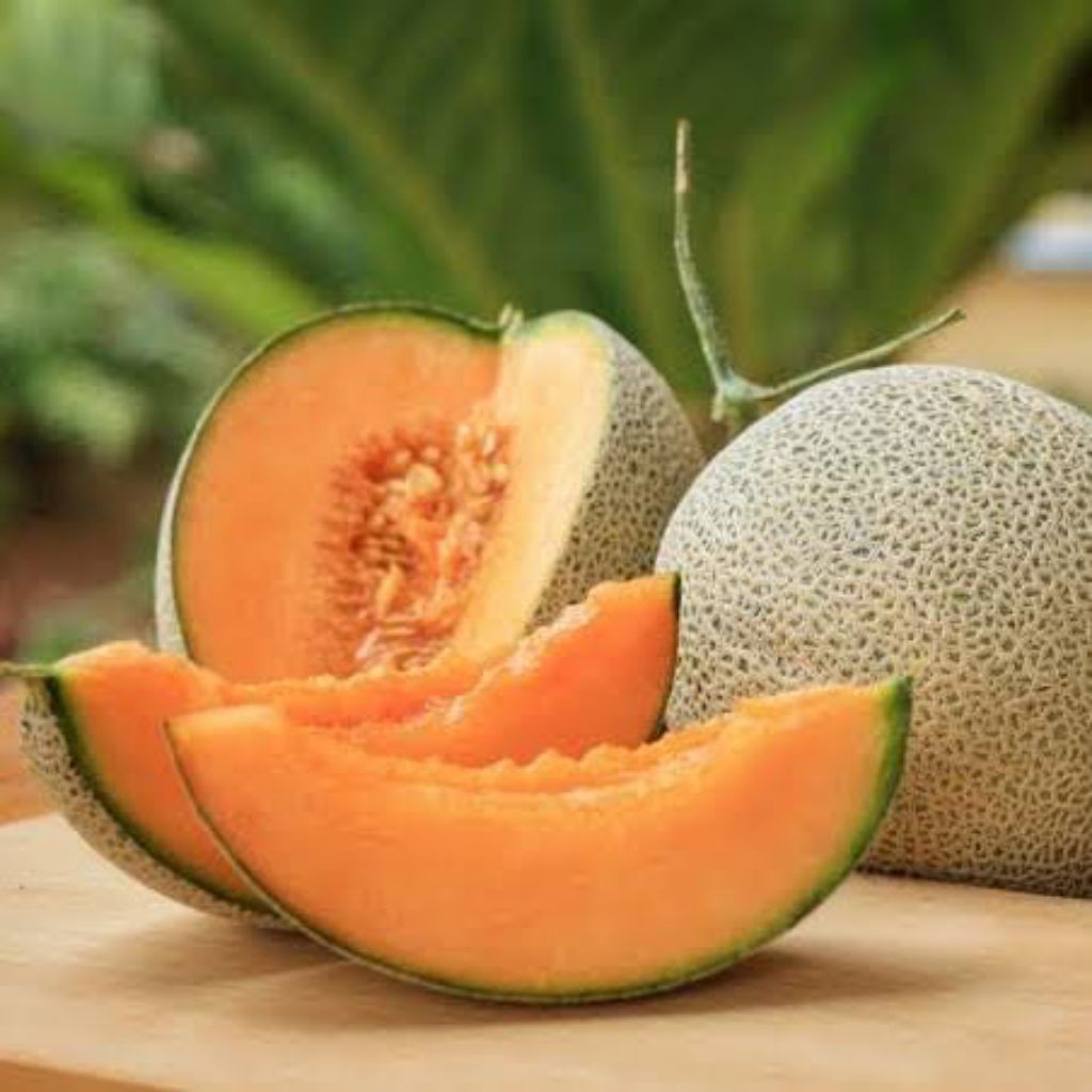 Benih Melon Orange F1 Bibit Benih Biji Buah Melon Orange