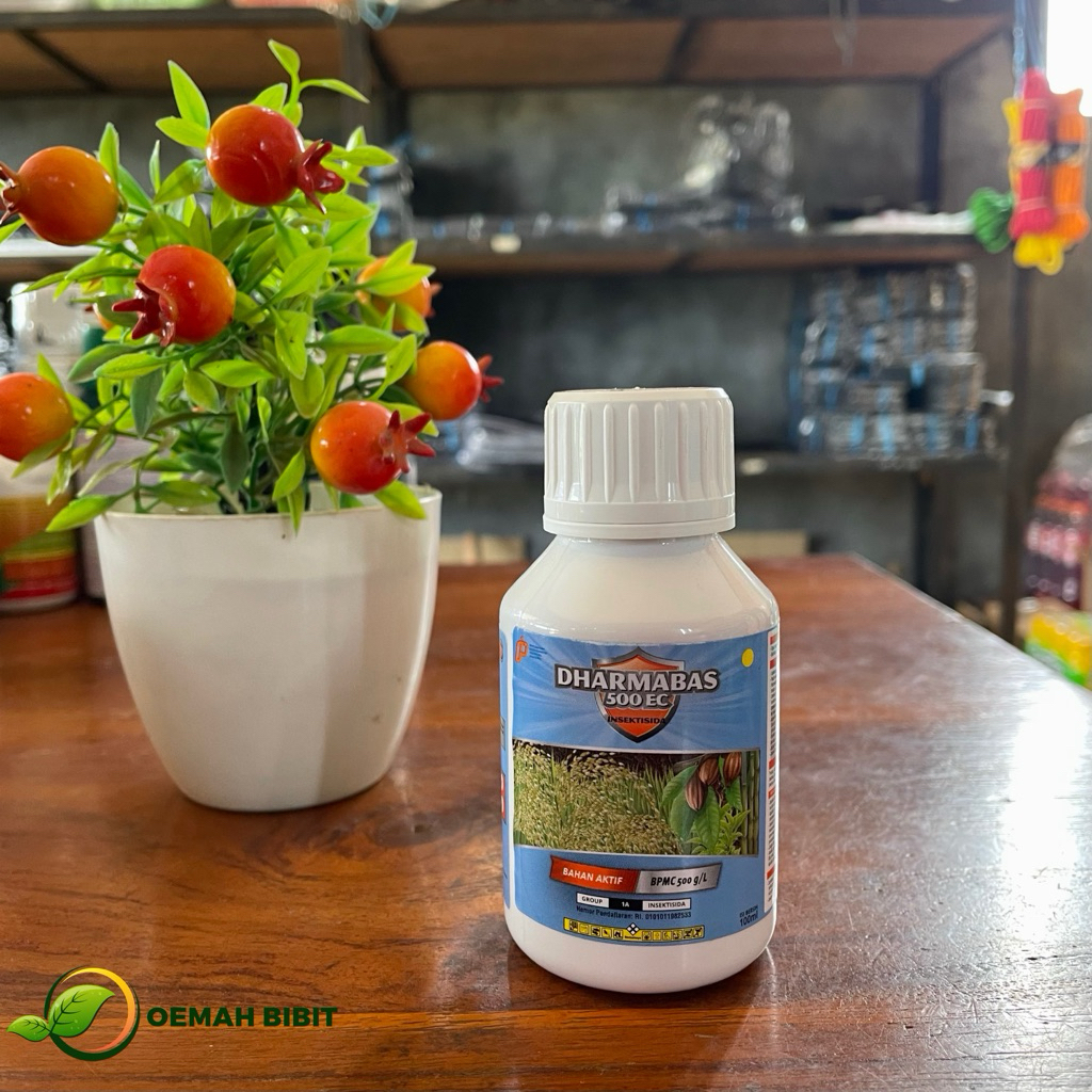 Insektisida DHARMABAS 500 EC 100ml