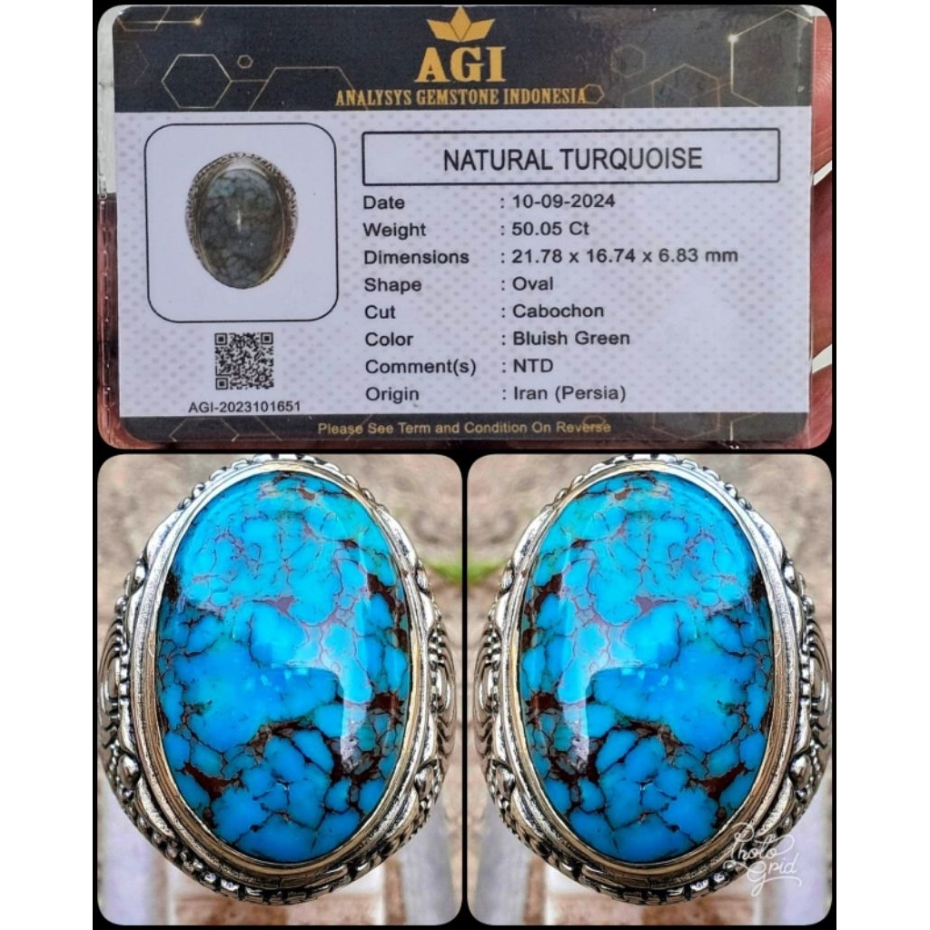natural pirus jumbo persia ceplok kuro kelas kontes