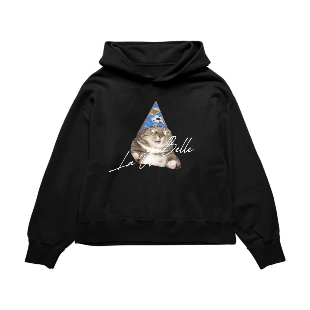 lavieestbelle - hoodie boxy oversize cat
