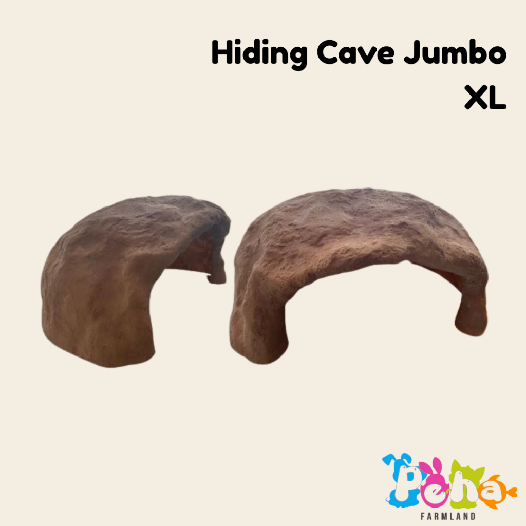 Hiding Cave Jumbo Reptil Rumah Kura Goa Torto Sulcata RF Pardalis XL