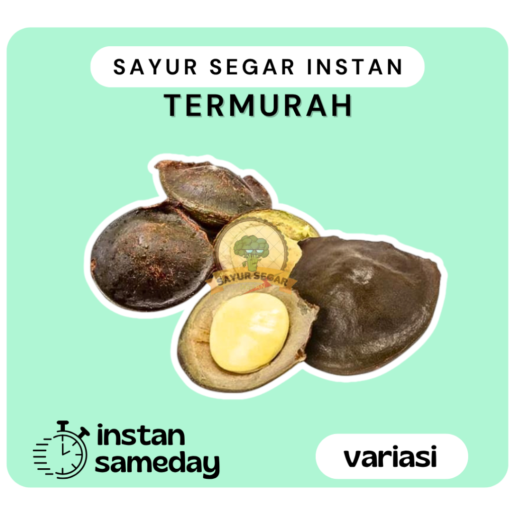 Jengkol Muda / Jengkol Segar