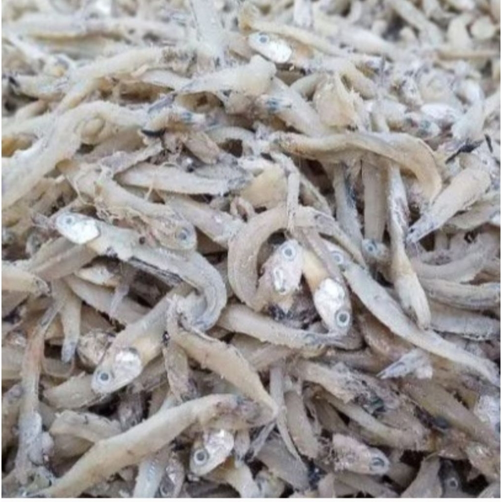 TERI JENGKI UKURAN KECIL BERAT 1 KILO, KUWALITAS PREMIUM