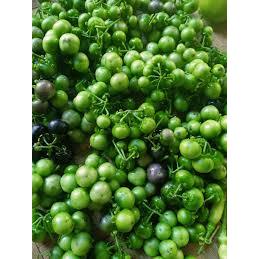 Buah Leunca Segar 1Kg, Sayuran Leunca/Lalapan Leunca Baru Dipanen