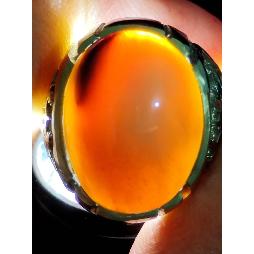 Natural Galih Asem Petrified Wood Crystal / Batu Fosil Kayu Galih Asem Kristal