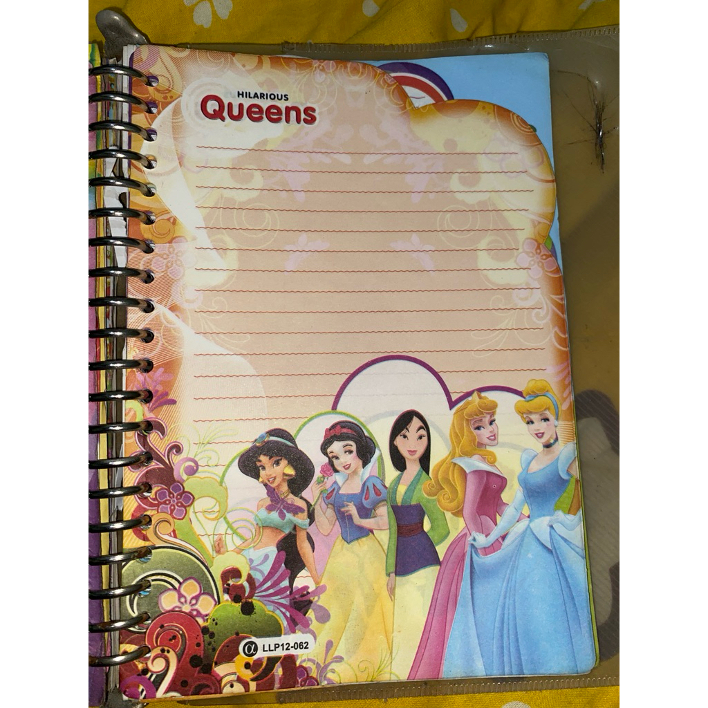 ( DAPAT 2 LEMBAR ) PRELOVED ISI BINDER PRINCESS JADUL