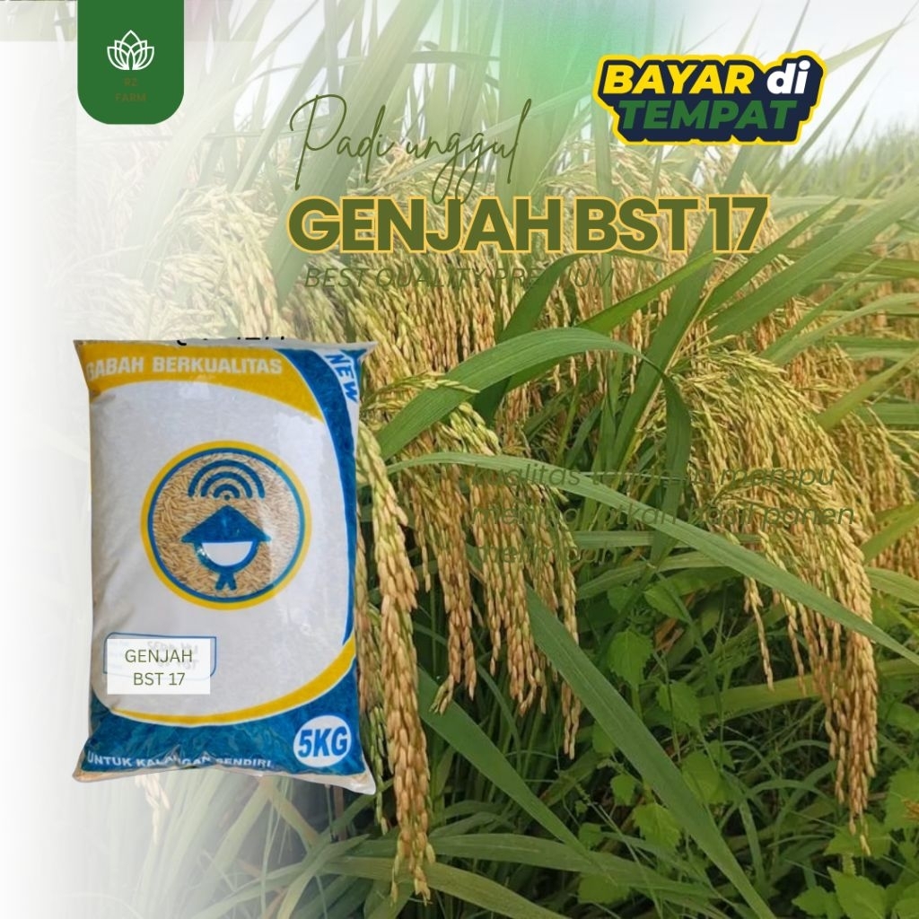 BENIH PADI UNGGUL GENJAH BST 17 5KG