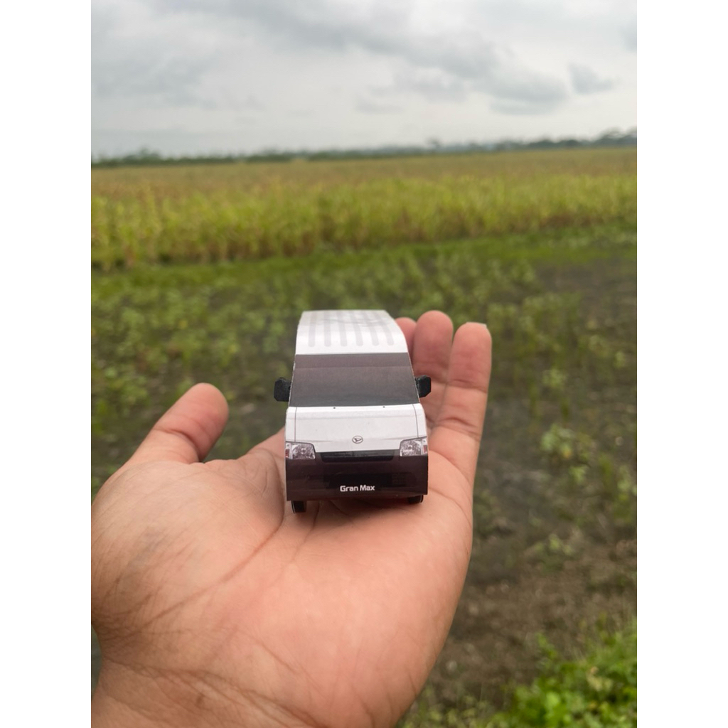 Bloom_Day Miniatur Granmax Blindvan