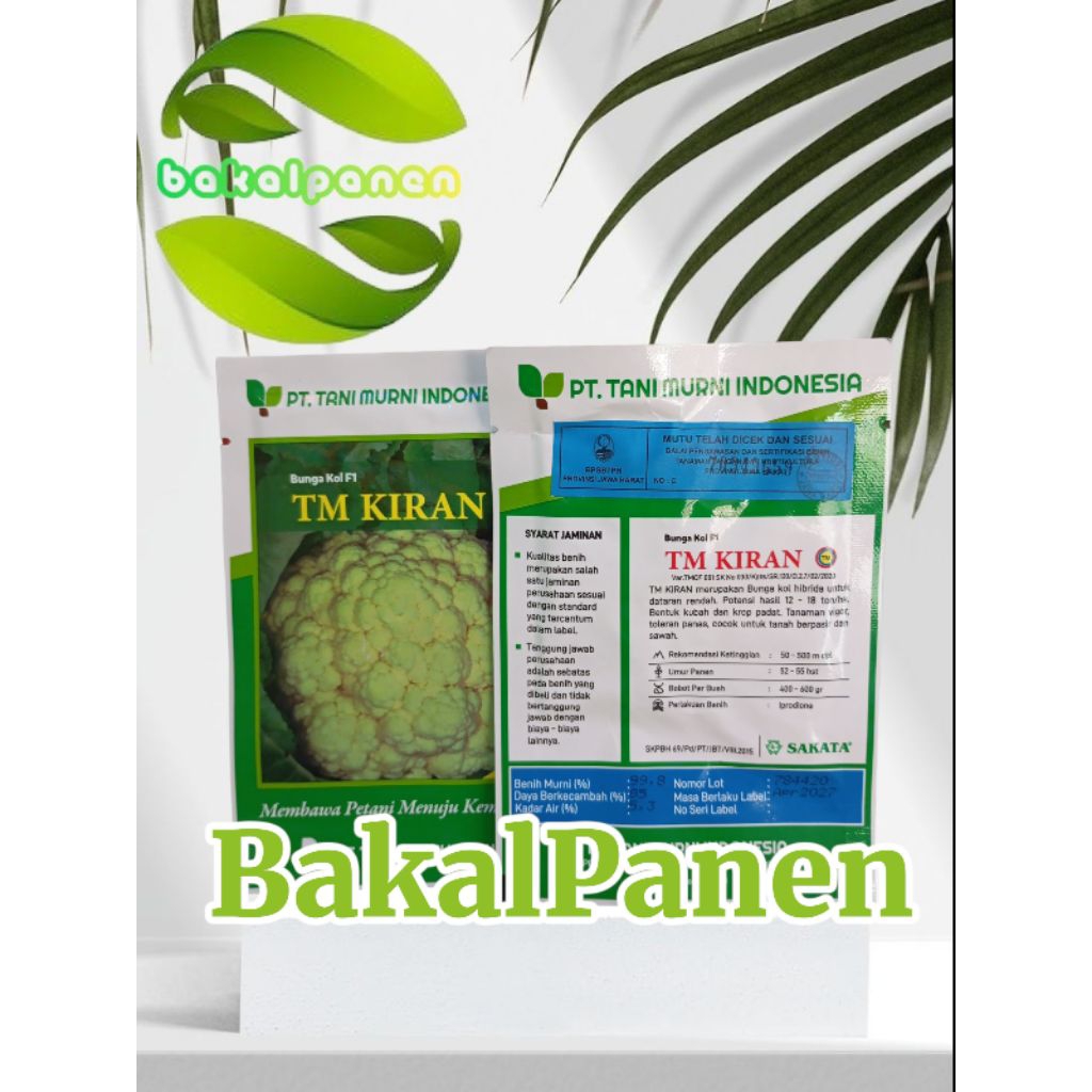 bibit benih bunga kol TANI MURNI TM KIRAN10 gram