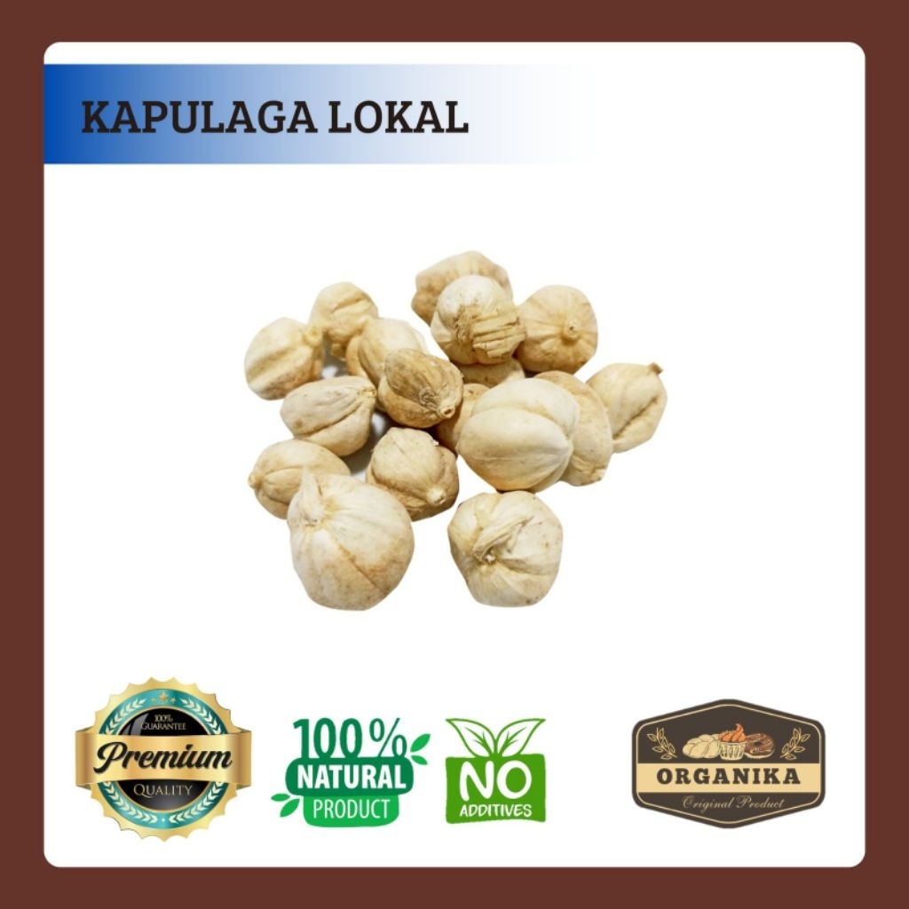 Kapulaga Lokal 100gr / Kapulogo, Jawa / Local Cardamom
