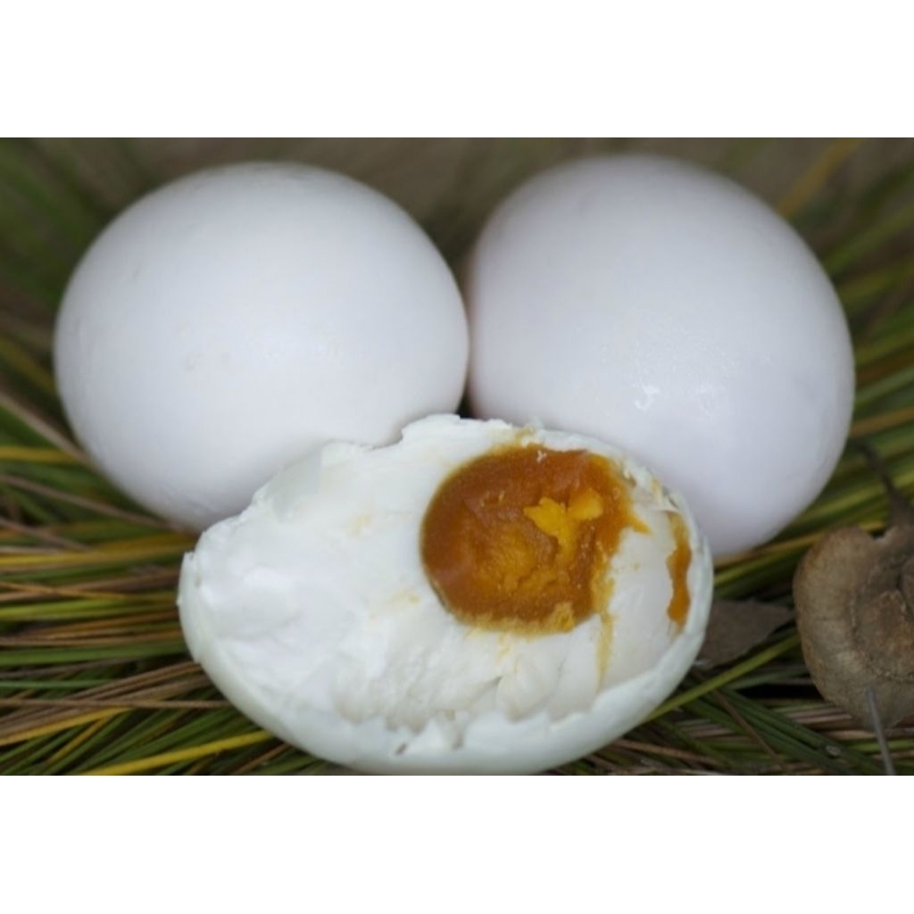 TELUR asin bebek/PEKING isi 10 butir