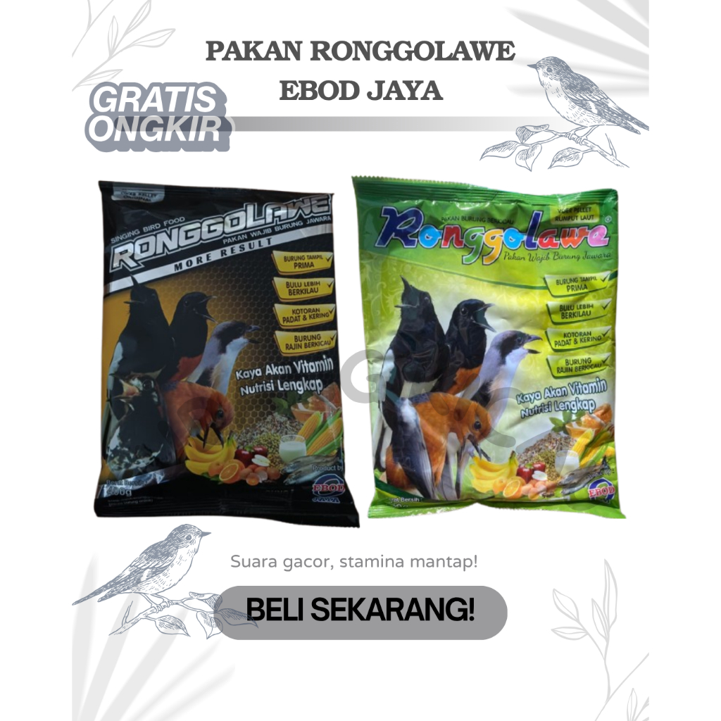 PAKAN RONGGOLAWE EBOD JAYA – VOER BURUNG GACOR SEHAT DAN AKTIF