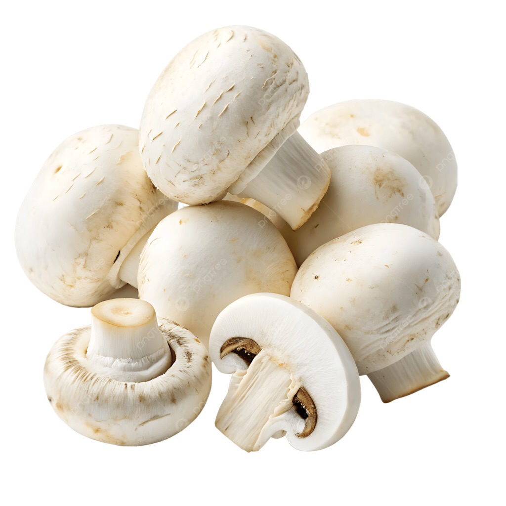 Jamur Champignon | Jamur Kancing 1kg