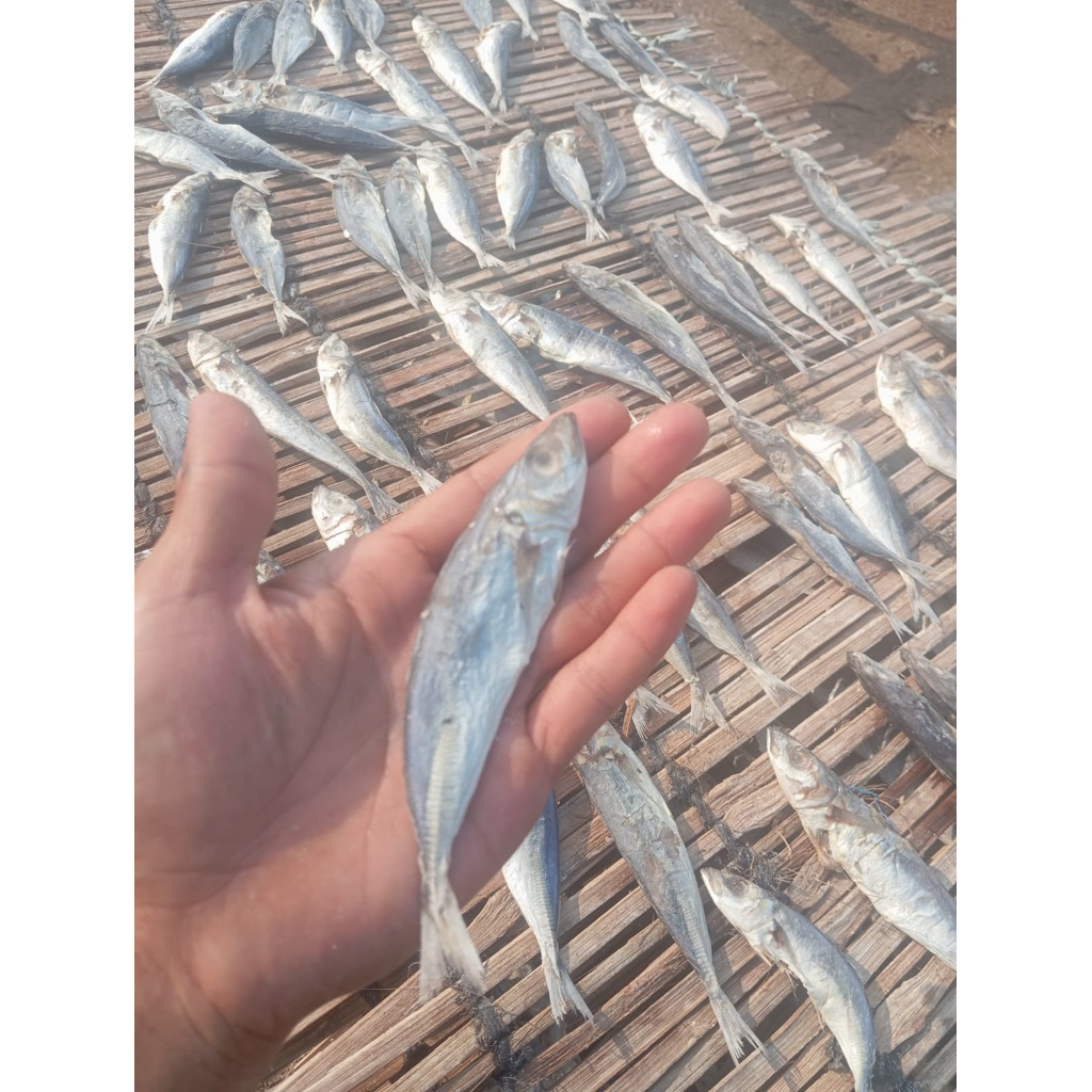 Ikan asin pindang atau layang