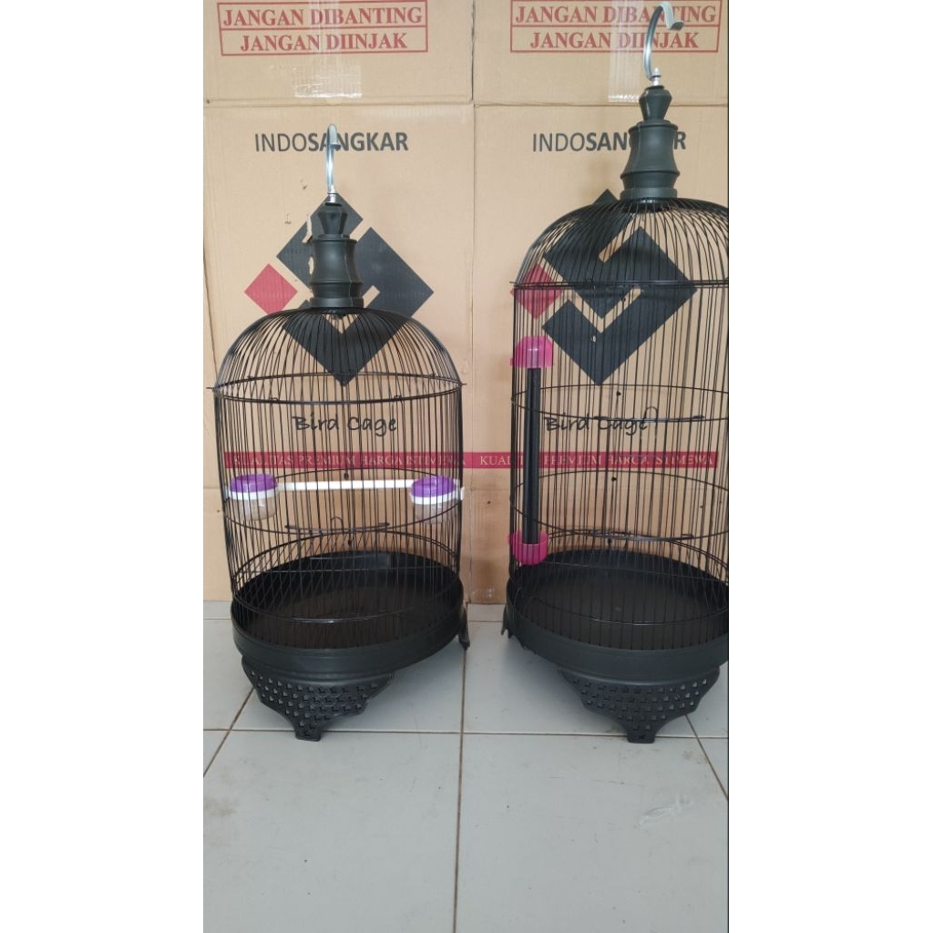 Sangkar Lovebird Minion Pendek atau Sangkar Trucukan Lovebird isi 10 | Lokasi Banyuwangii