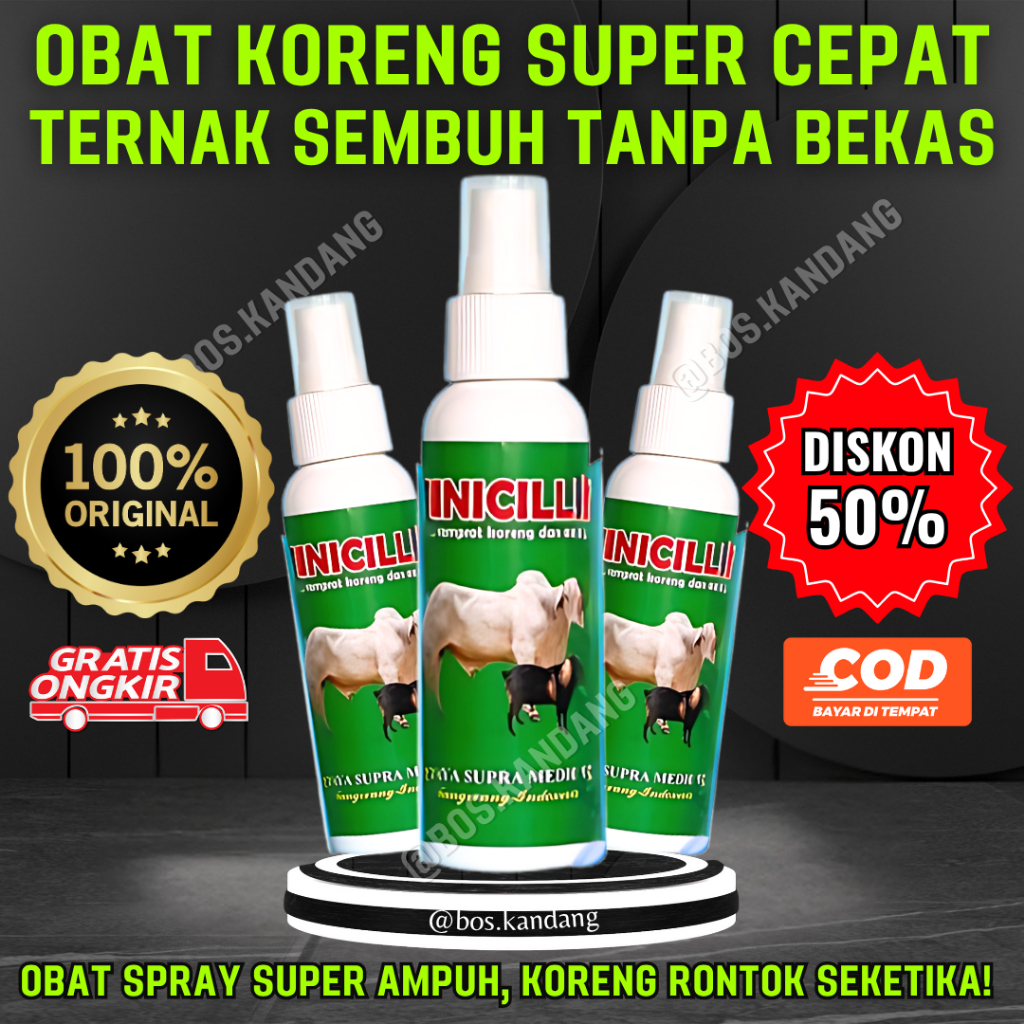 PINICILLIN - Obat Koreng Ternak Sapi Kambing Domba | Atasi Luka Bernanah & Jamur Kulit Cepat Kering