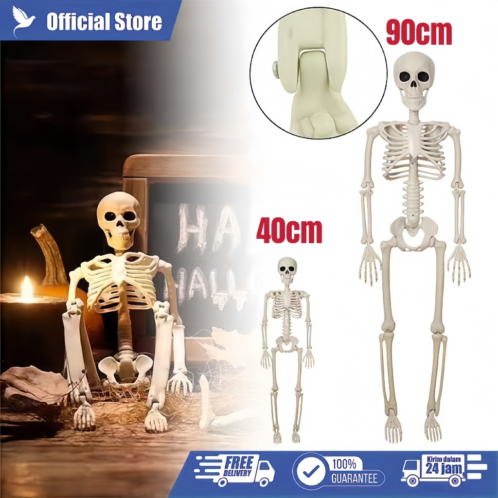90/40cm Model Kerangka Manusia Dewasa Model Kerangka Manusia Torso Tengkorak Mini
