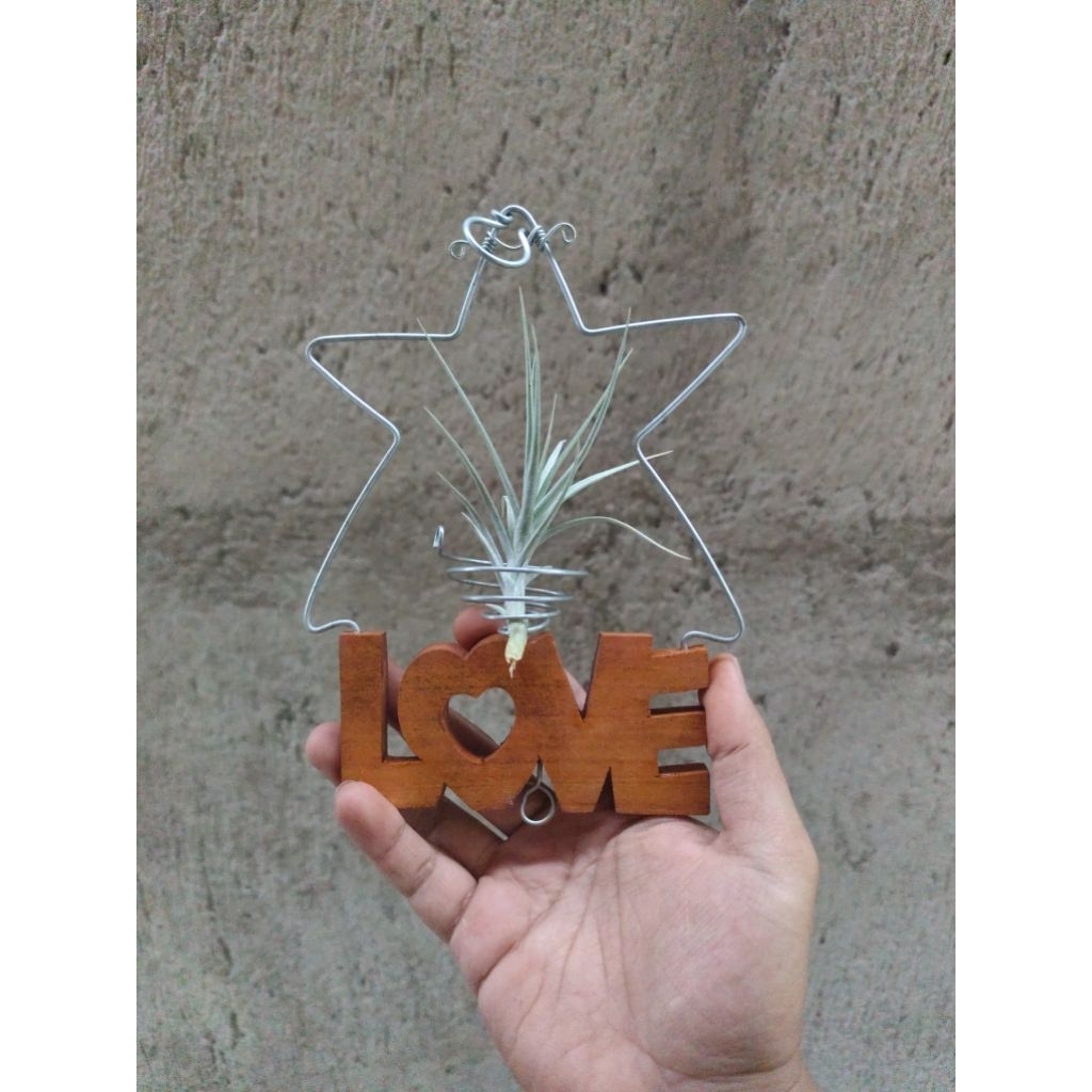 hanger/gantungan tanaman hias tillandsia model bintang dengan akasara love di bawahnya