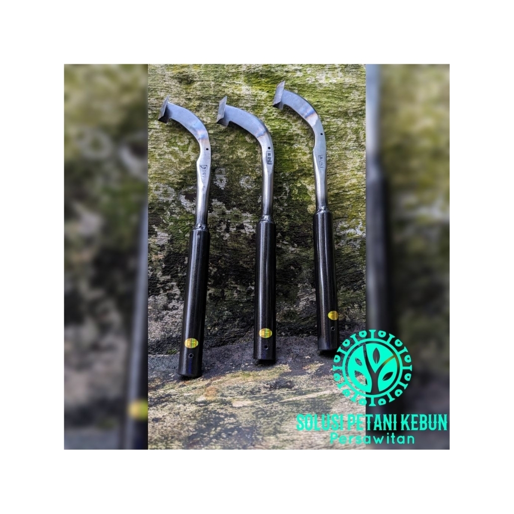 PISAU SADAP KARET THAILAND // ALAT SADAP KARET // PISAU SADAP // PISAU DERES KARET // PAHAT KARET