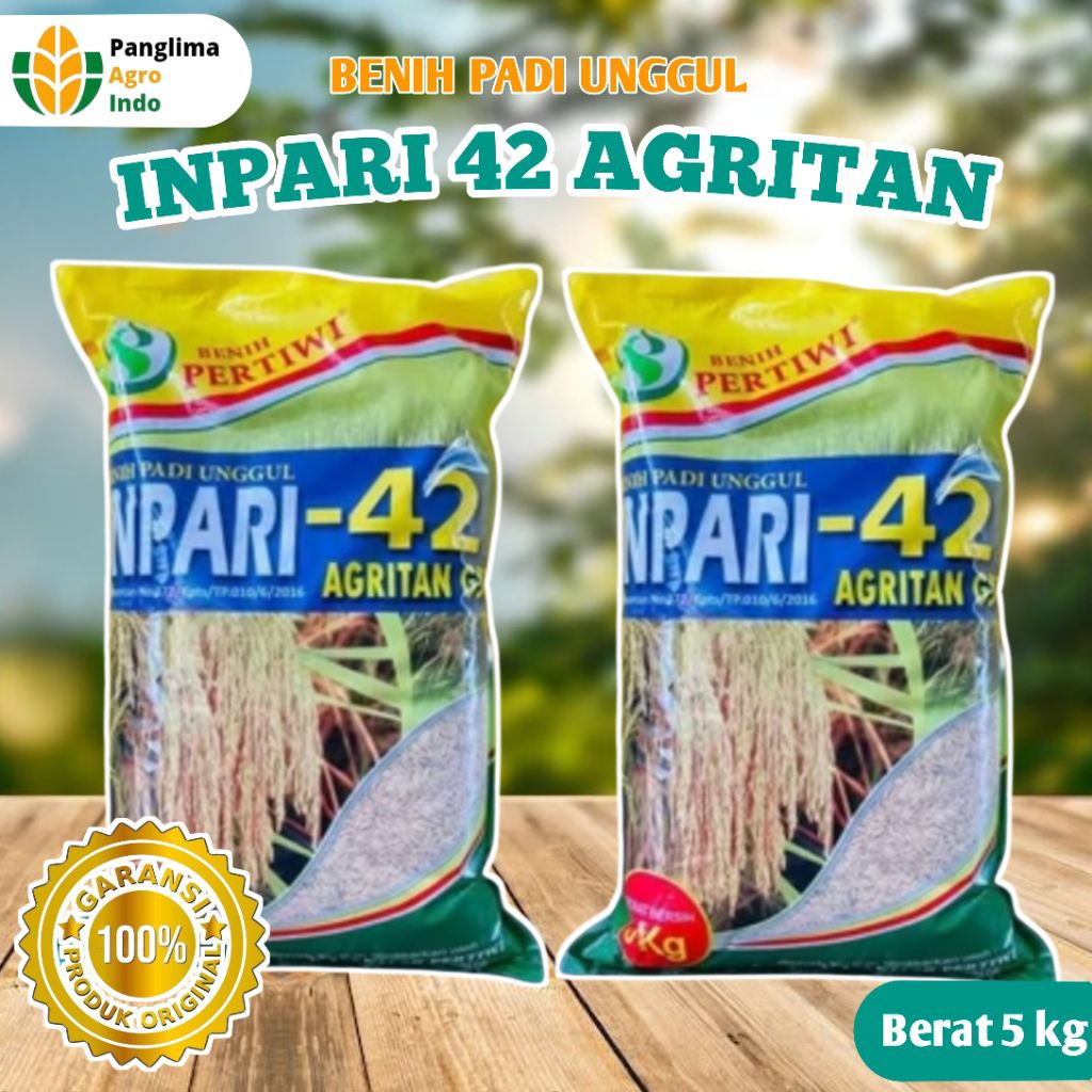 Benih Padi Unggul Inpari 42 Agritan Pertiwi