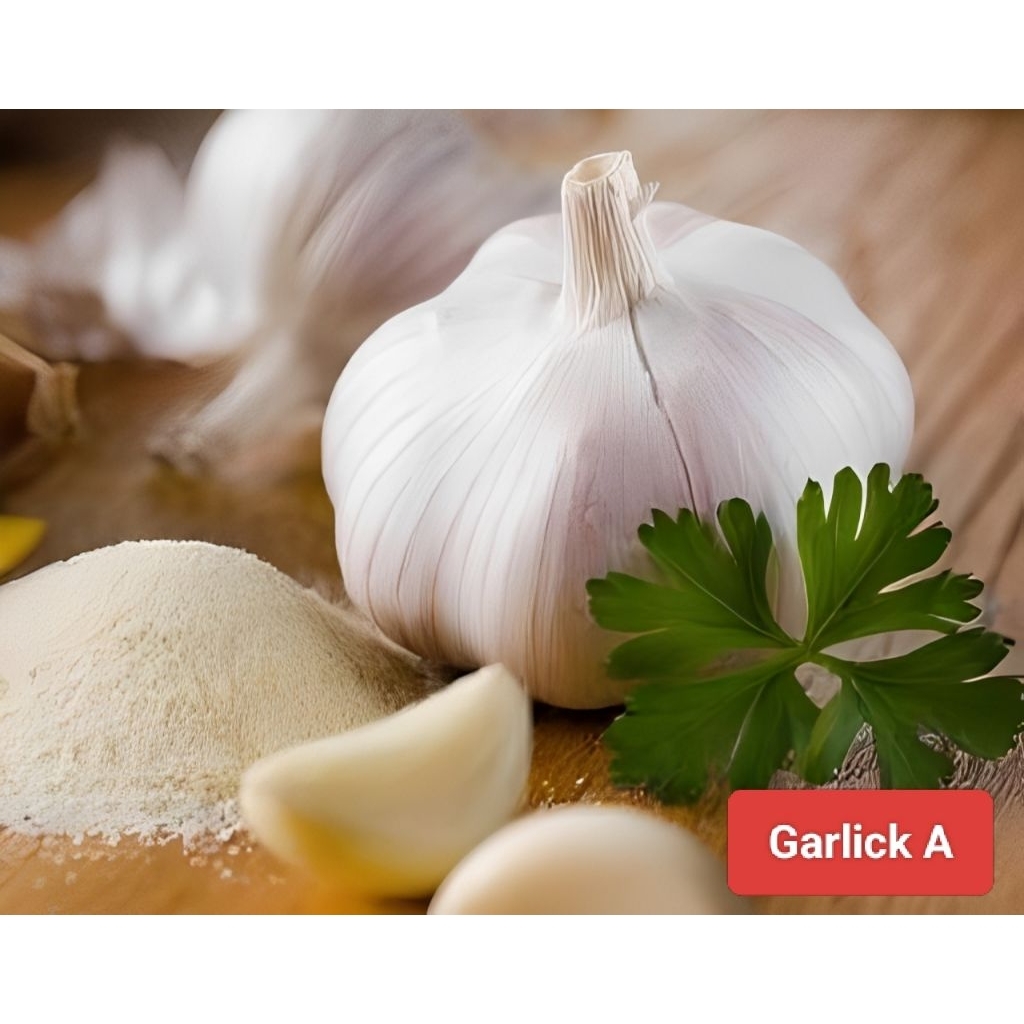 Bubuk bawang putih garlic bubuk original
