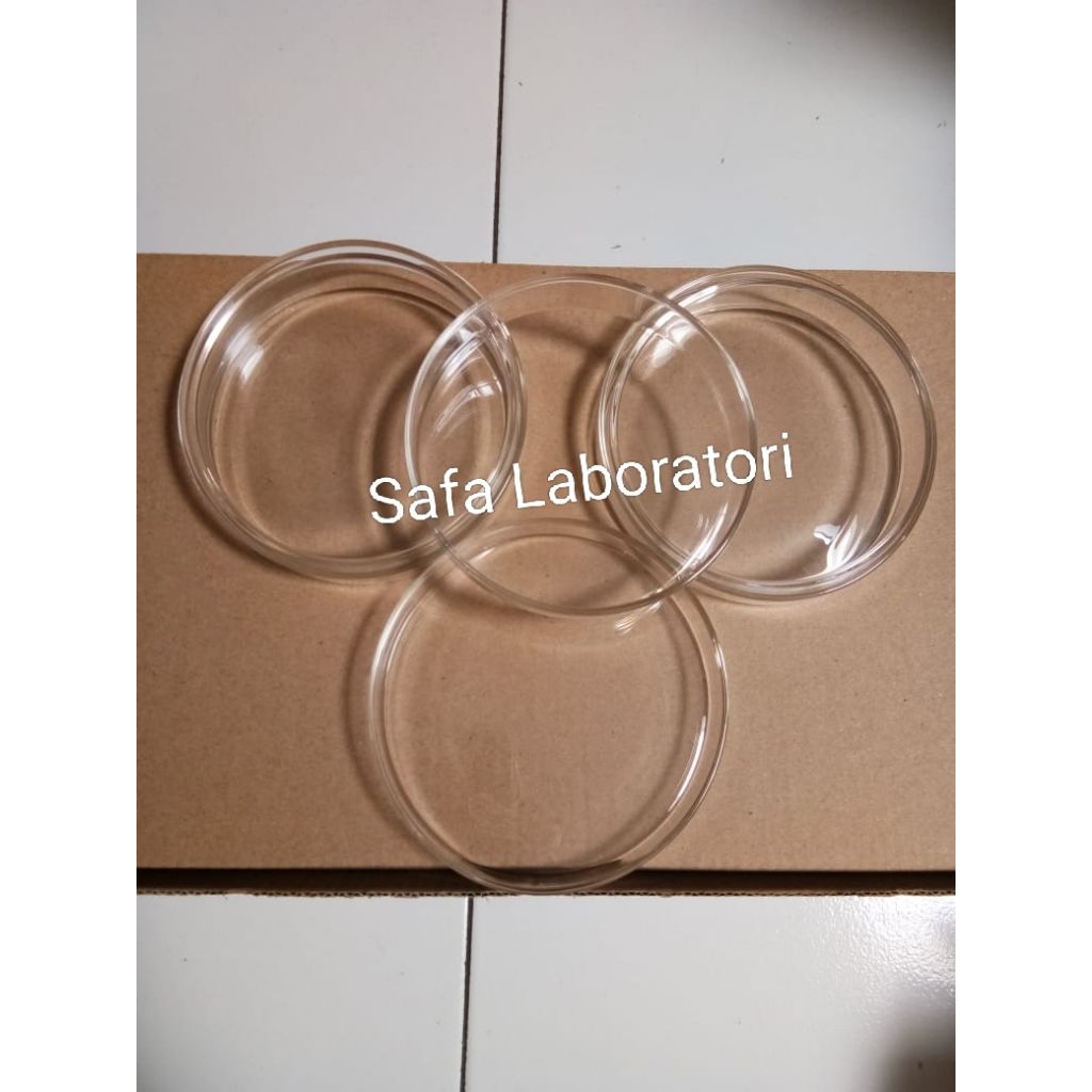 Cawan Petri Laboratorium 100mm /Glass Petridish / Cawan Petri Kaca 90mm