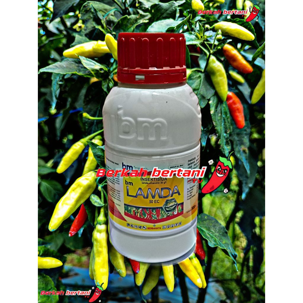 Insektisida BM LAMDA 50EC original pembasmi ulat grayal ulat hijau ulat bor