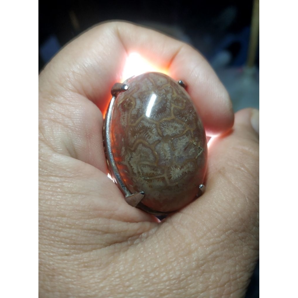 Batu Akik Motif Kelabang tua Unik Kode 54/12