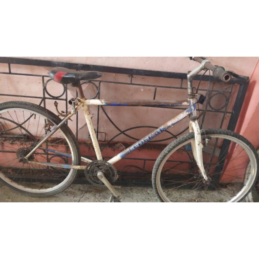 frame fork original federal street cat