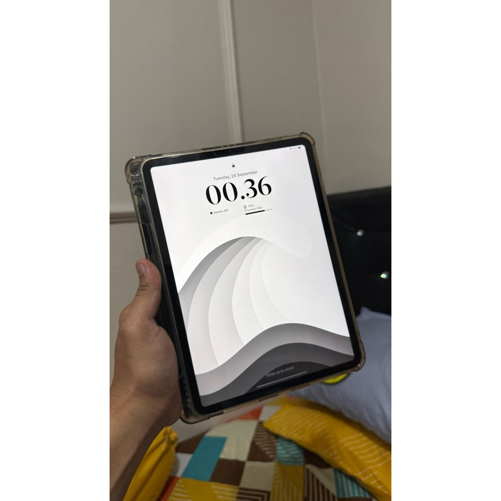 Ipad Pro M2 11 inch 256gb