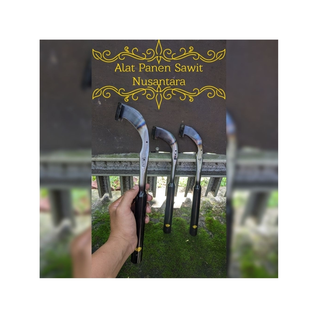 PISAU SADAP KARET THAILAND // ALAT SADAP KARET // PISAU SADAP // PISAU DERES KARET // PAHAT KARET