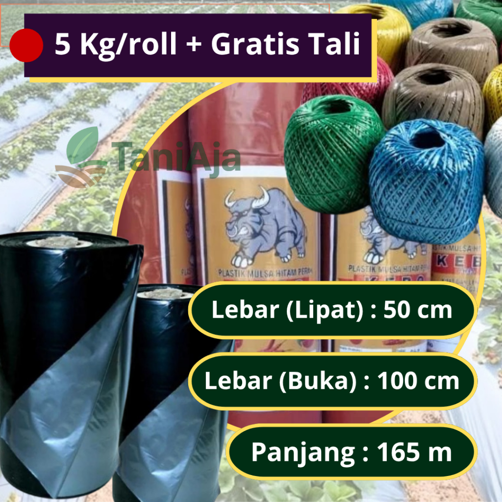 Plastik Mulsa Hitam Perak 5Kg + Tali Rafia Gratis – Ukuran 50cm/100cm x 165m | Plastik Penutup Tanah