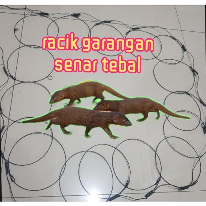 RACIK JERAT GARANGAN TALI JERAT GANGGARANGAN SAWAH JEBAKAN BAYAWAK RACIK MUSANG RACIT GARANGAN TAHAN