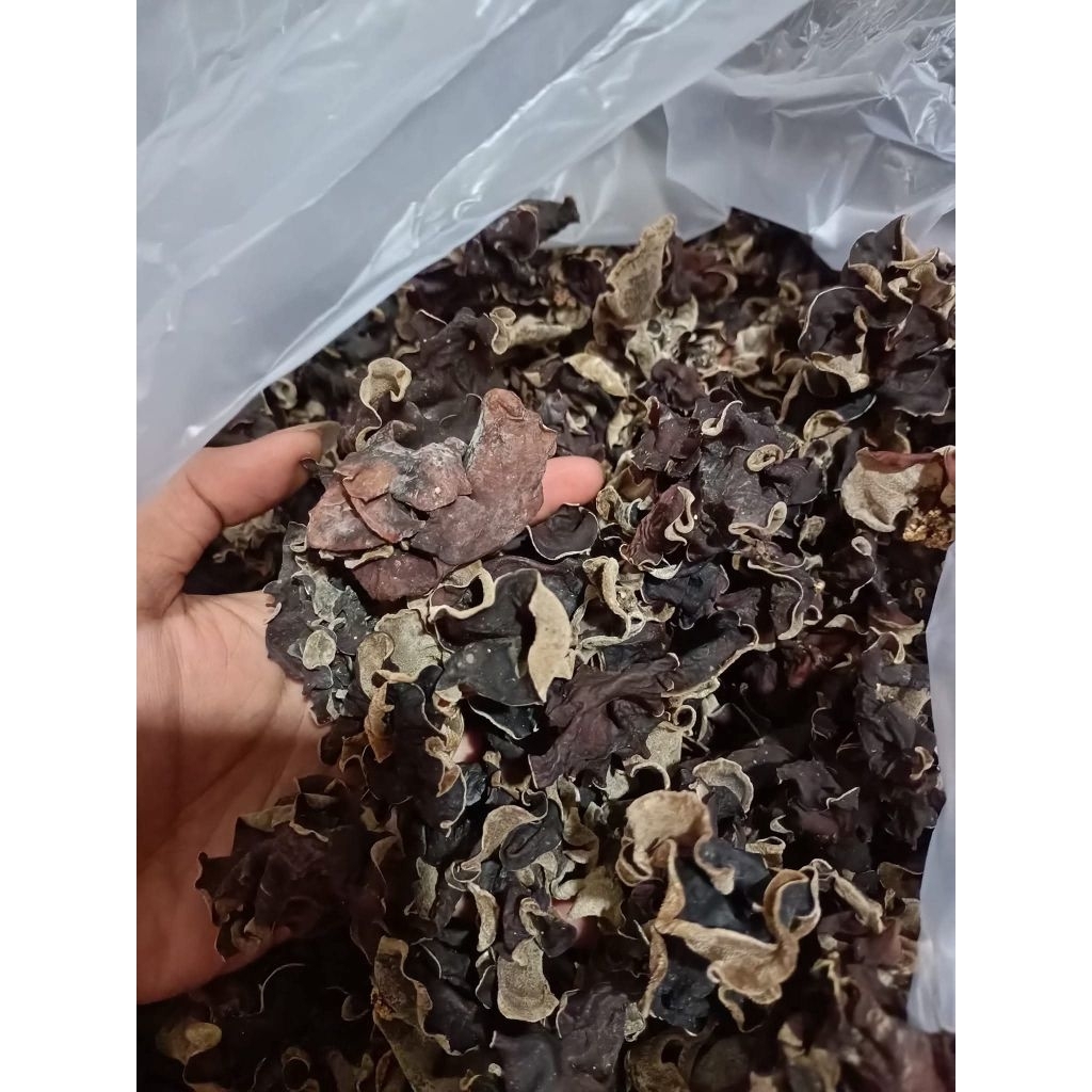 1kg jamur kuping kering hitam / jamur kuping hitam ukuran sedang