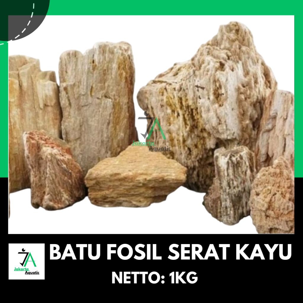 Batu fosil serat kayu aquascape 1kg/ batu fosil seratkayu / batu fosil aquascape / batu aquascape