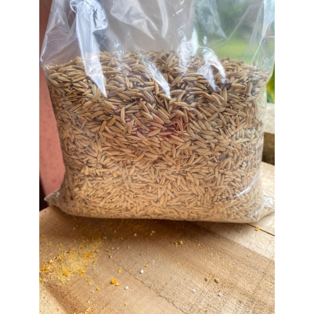 Padi Merah Pakan ayam aduan, Bangkok, Pama berat 1kg